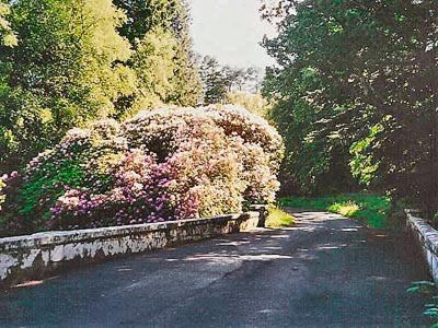 Forget Me Not - Skkz Villa Dalmellington Buitenkant foto